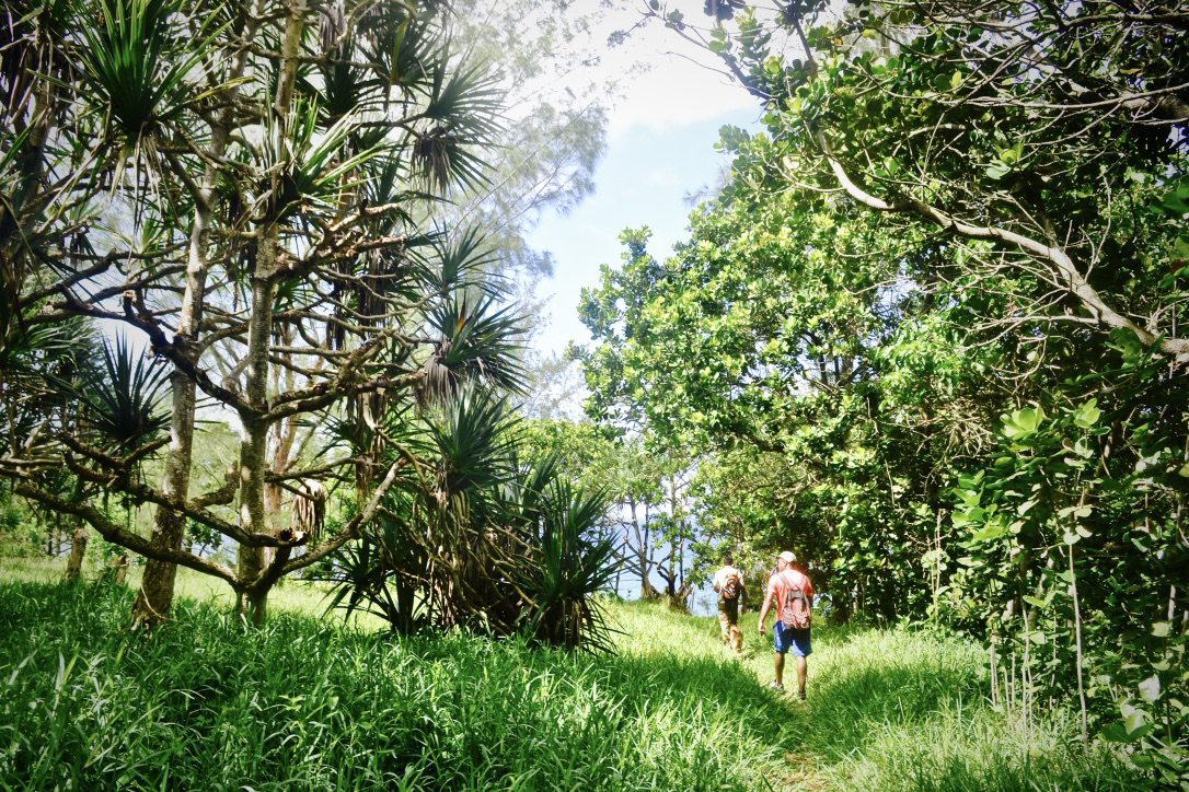The South’s Wild And Rugged Beauty